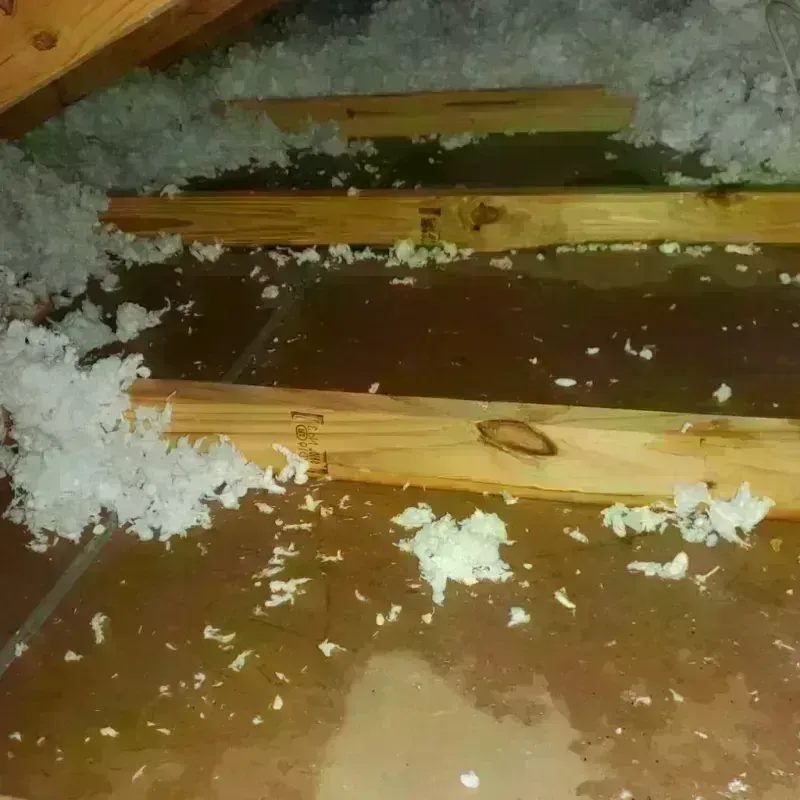 Attic Water Damage in Bushnell, FL