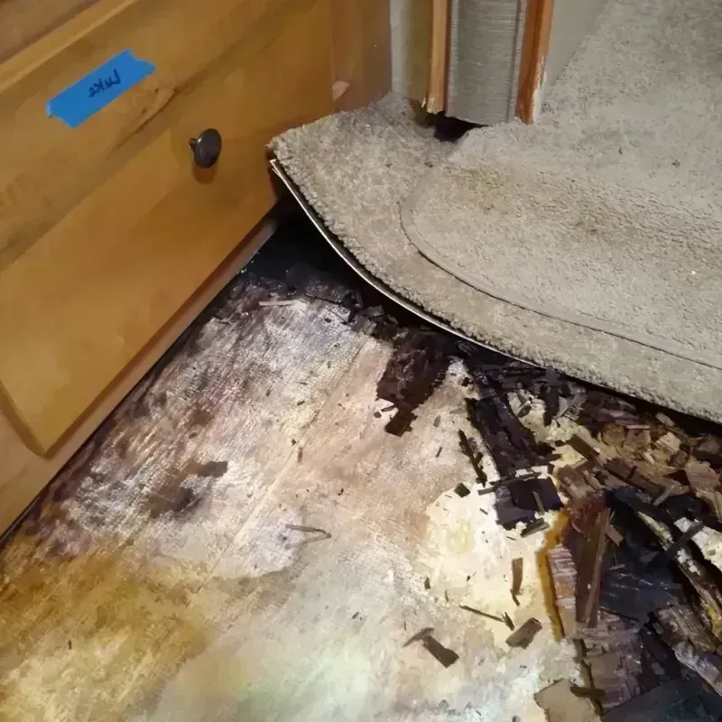 Wood Floor Water Damage in Bushnell, FL